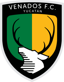 Venados FC